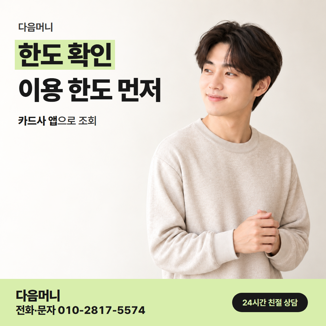 다음머니 오산카드깡 카드 명의마다 다른 한도 조회